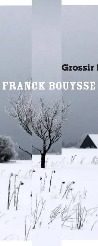 Couverture de Grossir le ciel, Franck Bouysse