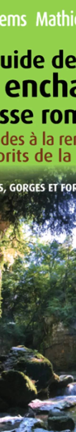 Couverture de Guide des lieux enchantés de Suisse romande : grottes, cascades, gorges et forêts mystérieuses, Joëlle Chautems, Mathieu Bressoud
