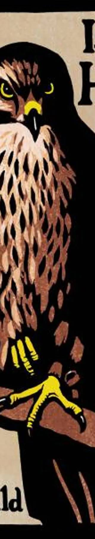 Cover of H Is for Hawk by Helen Macdonald