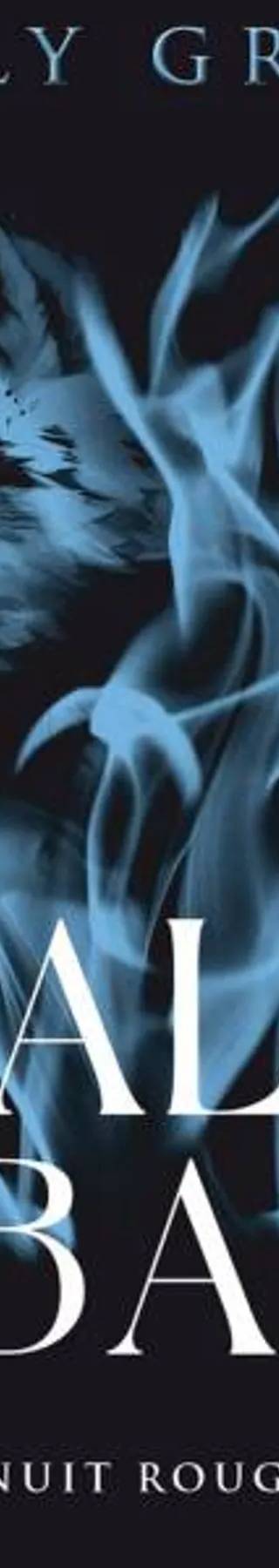 Couverture de Half Bad (Tome 2) - Nuit rouge, Sally Green