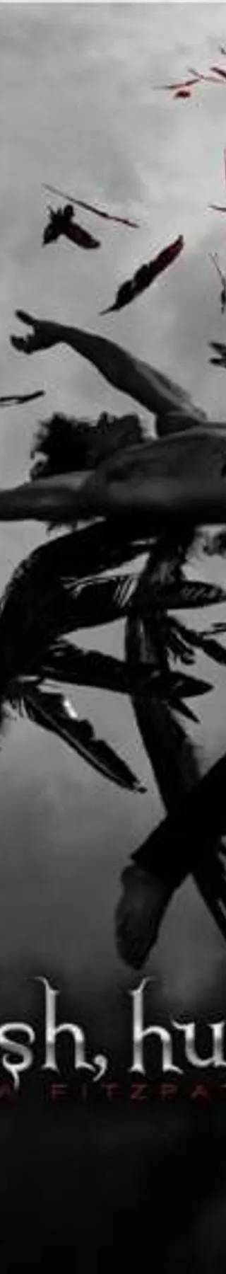 Couverture de Hush , Hush, Becca Fitzpatrick - Hush Hush - 1
