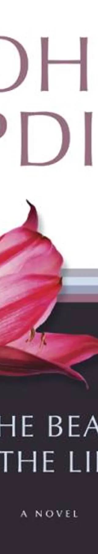 Couverture de In the Beauty of the Lilies, John Updike