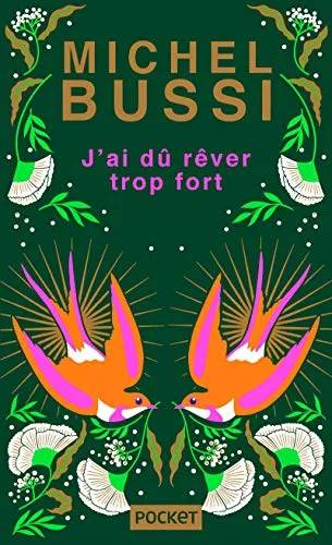 Couverture de J’ai dû rêver trop fort, Michel Bussi