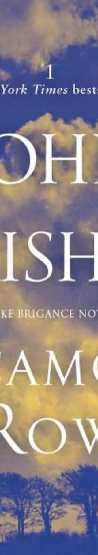 Cover of Jake Brigance 02 - Sycamore Row by John Grisham