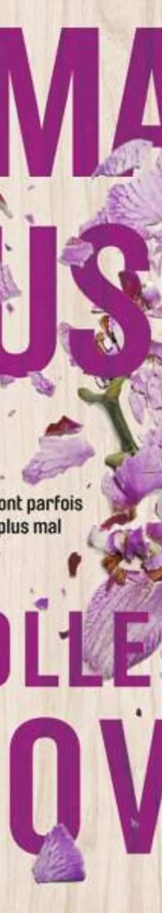 Couverture de « Jamais plus (NEW ROMANCE) », Colleen Hoover, Pauline Vidal