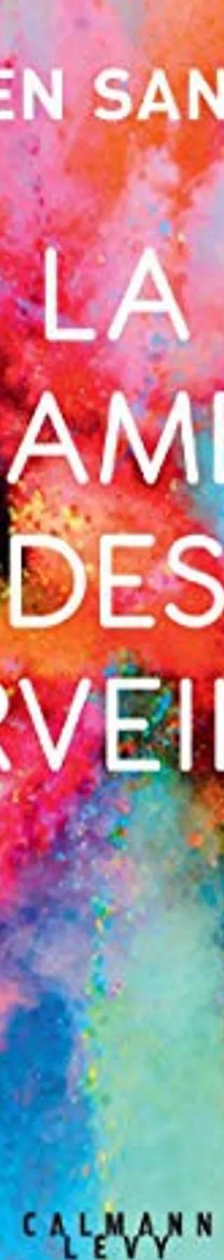 Couverture de La Chambre des Merveilles, Julien Sandrel
