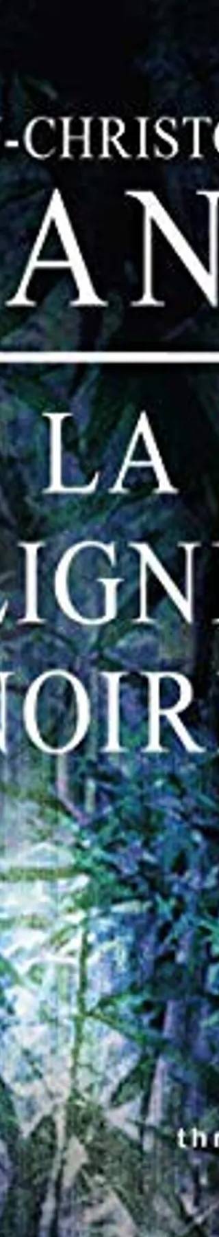 Couverture de La ligne noire, Jean-Christophe Grangé