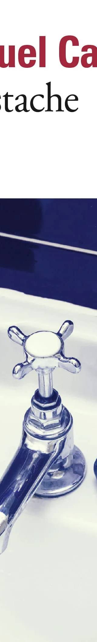 Couverture de La Moustache, Emmanuel Carrère