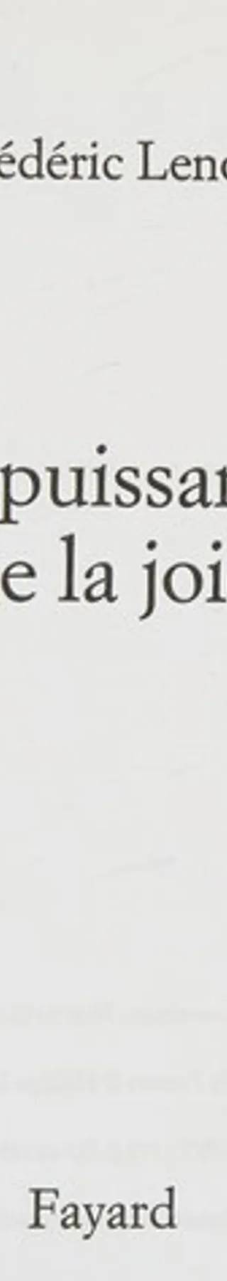 Couverture de La Puissance De La Joie, Frédéric Lenoir