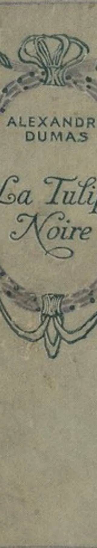 Couverture de LA TULIPE NOIRE, Alexandre Dumas