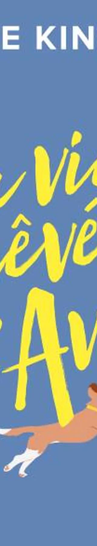 Couverture de La Vie rêvée d'Ava, Sophie Kinsella