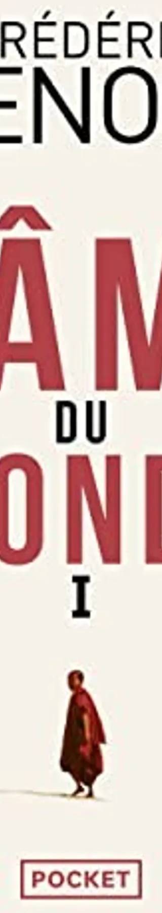 Couverture de L'âme du monde, Frédéric Lenoir