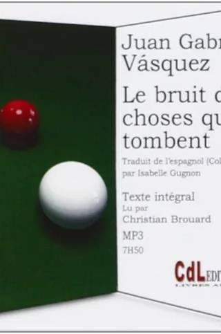 Couverture de Le Bruit des choses qui tombent, Vásquez, Juan Gabriel