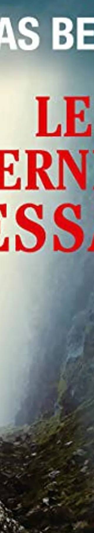 Couverture de « Le dernier message », Nicolas Beuglet