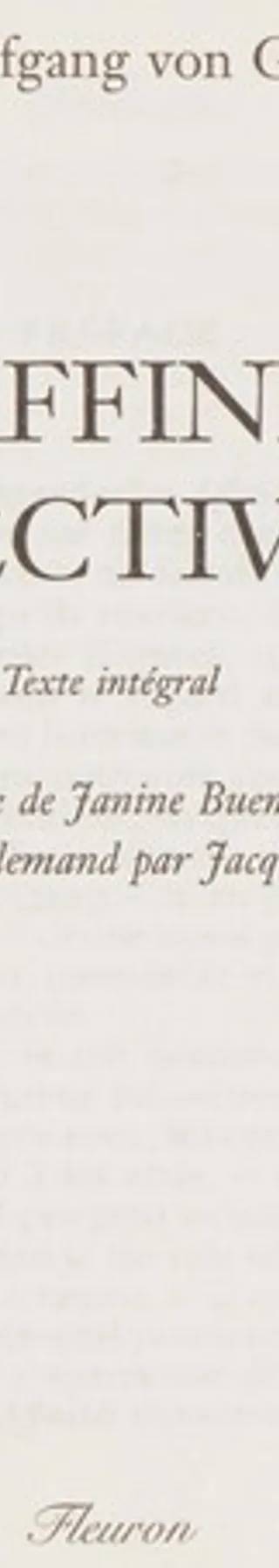 Couverture de « Les Affinités Électives », Johann Wolfgang von Goethe
