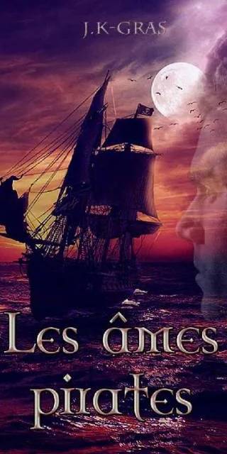 Couverture de Les âmes pirates: La Vindicta, J K Gras