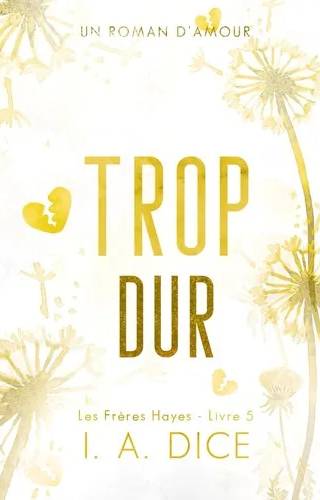 Couverture de Trop dur : Les Frères Hayes - Livre 5, I. A. Dice