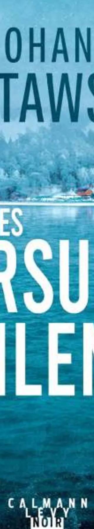 Couverture de Les morsures du silence, Johana Gustawsson