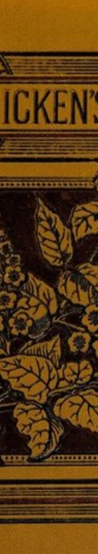 Cover of Little Dorrit by Charles Dickens