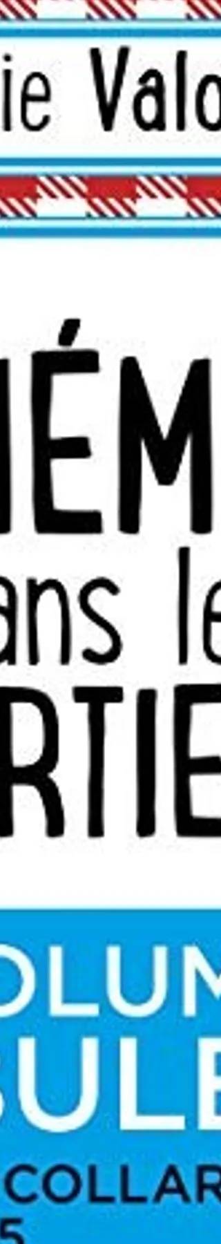 Couverture de Mémé dans les orties, Aurelie Valognes