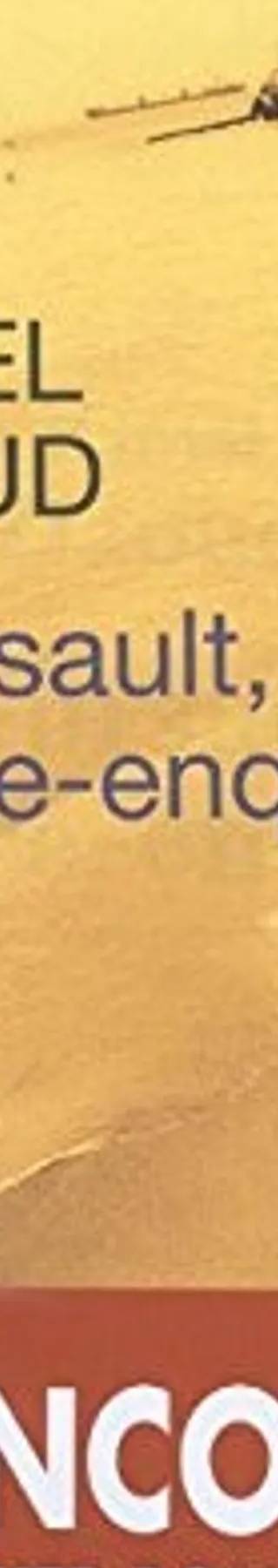 Couverture de Meursault, contre-enquête, Daoud Kamel