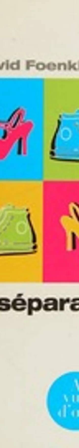 Couverture de Nos séparations, David Foenkinos