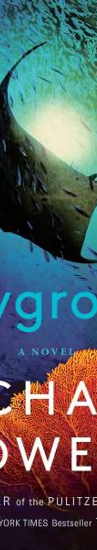 Cover of Playground by Richard Powers