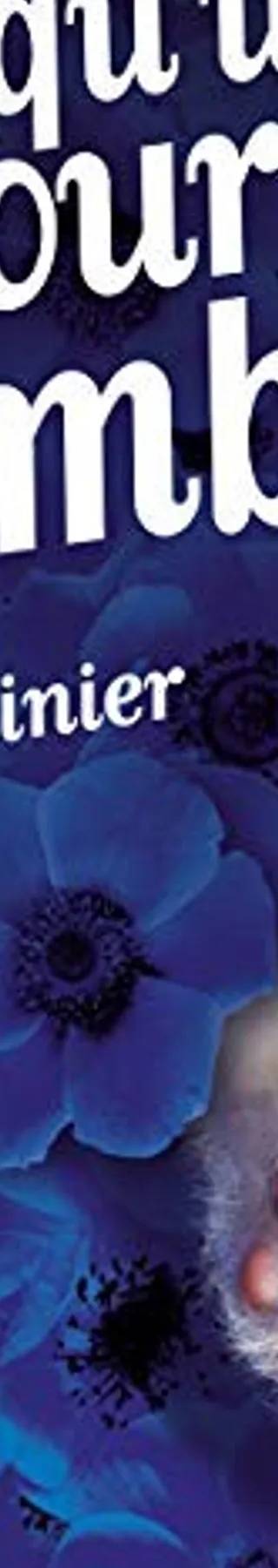 Couverture de Quelqu'un pour qui trembler, Gilles Legardinier