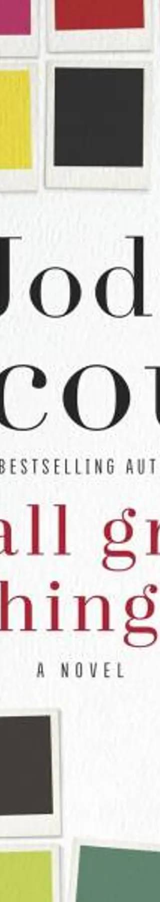 Couverture de « Small Great Things », Jodi Picoult
