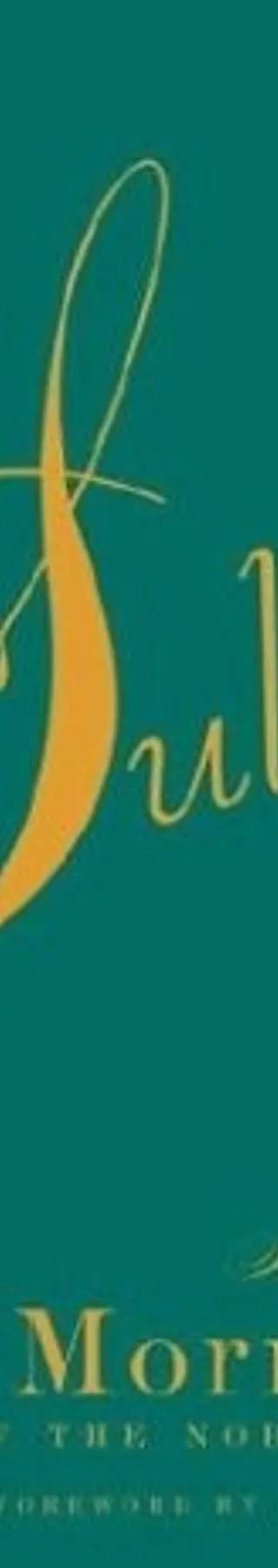 Cover of Sula by Toni Morrison