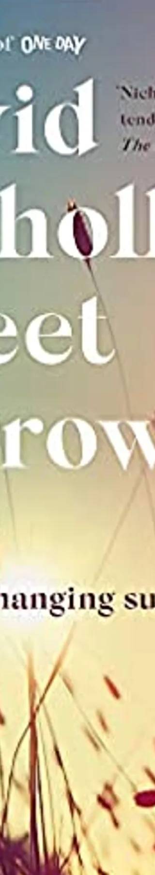 Couverture de Sweet Sorrow, David Nicholls
