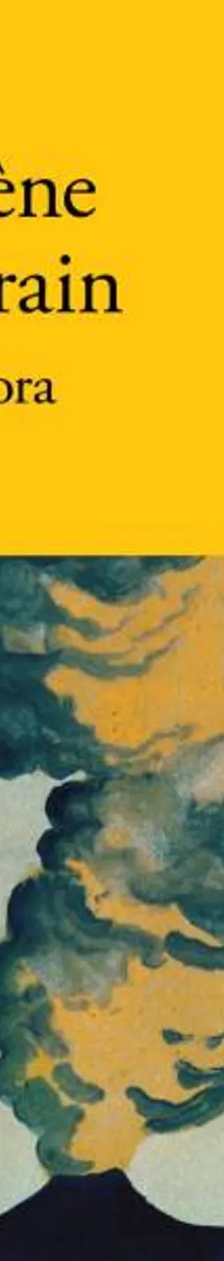 Couverture de Tambora, Hélène Laurain