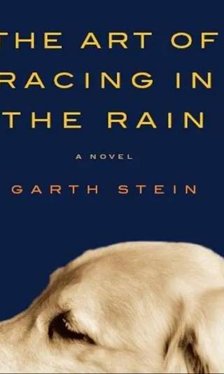Cover of The Art of Racing in the Rain by Garth Stein