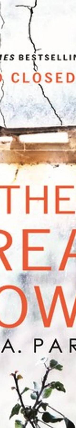 Couverture de The Breakdown, B.A. Paris