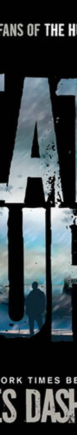 Cover of The Death Cure by James Dashner