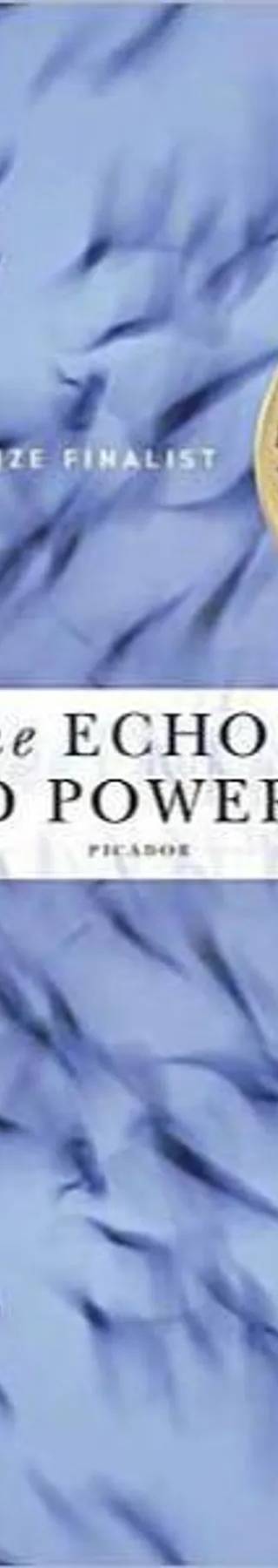 Cover of The Echo Maker by Richard Powers