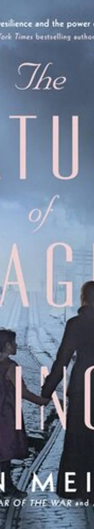 Couverture de The nature of fragile things, Susan Meissner