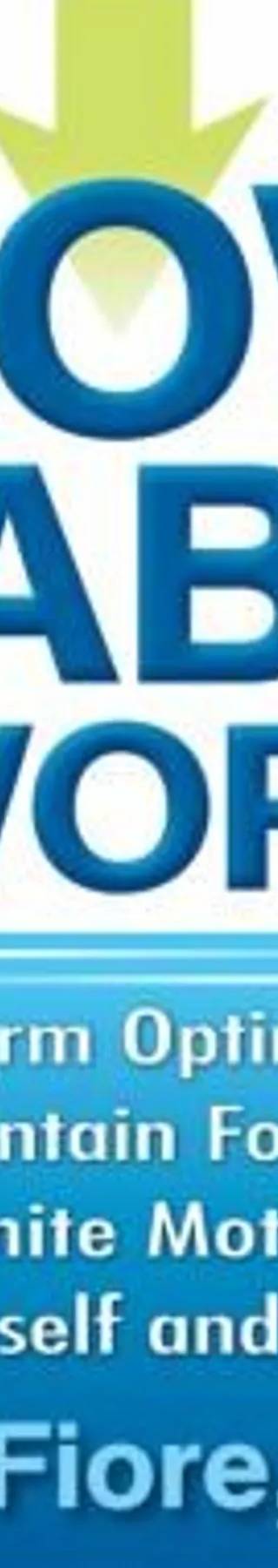 Couverture de The Now Habit at Work: Perform Optimally, Maintain Focus, and Ignite Motivation in Yourself and Others, Neil Fiore
