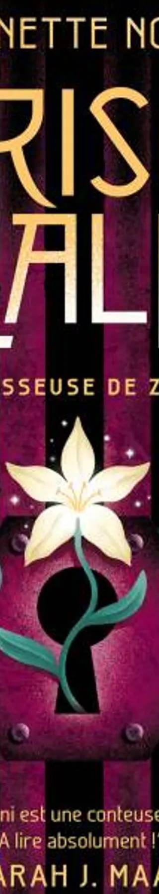 Couverture de The Prison Healer - tome 1 - La guérisseuse de Zalindov, Lynette Noni