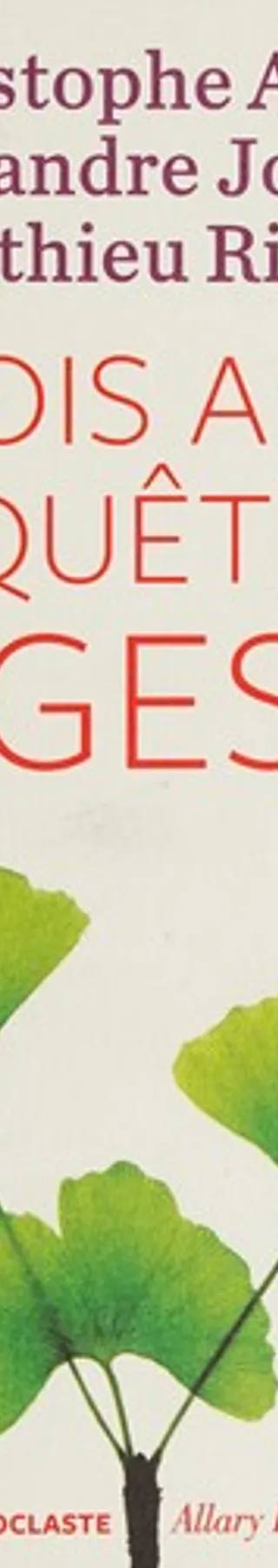 Couverture de Trois amis en quête de sagesse, Christophe André, Alexandre Jollien, Matthieu Ricard