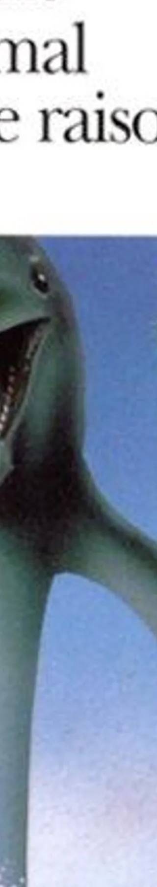 Couverture de Un Animal Doué De Raison, Robert Merle