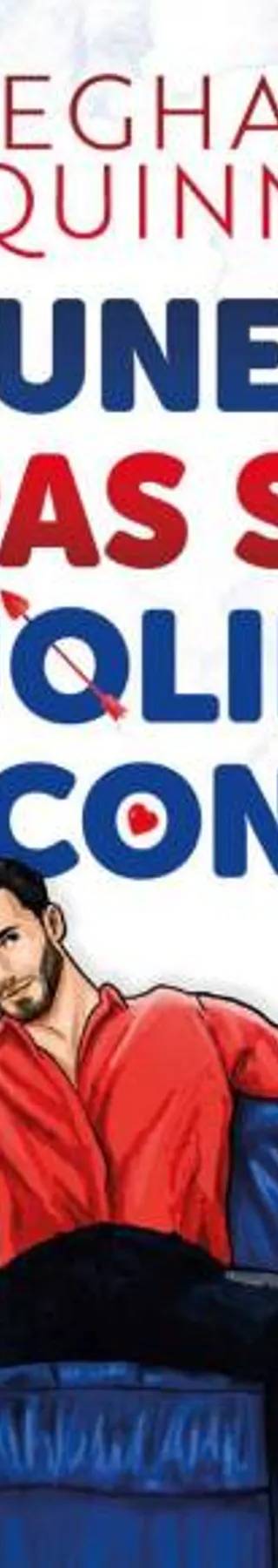 Couverture de Une pas si jolie rencontre, Meghan Quinn