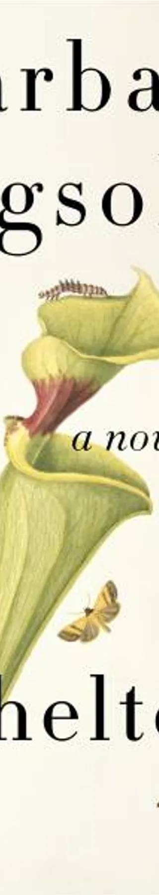 Cover of Unsheltered by Barbara Kingsolver