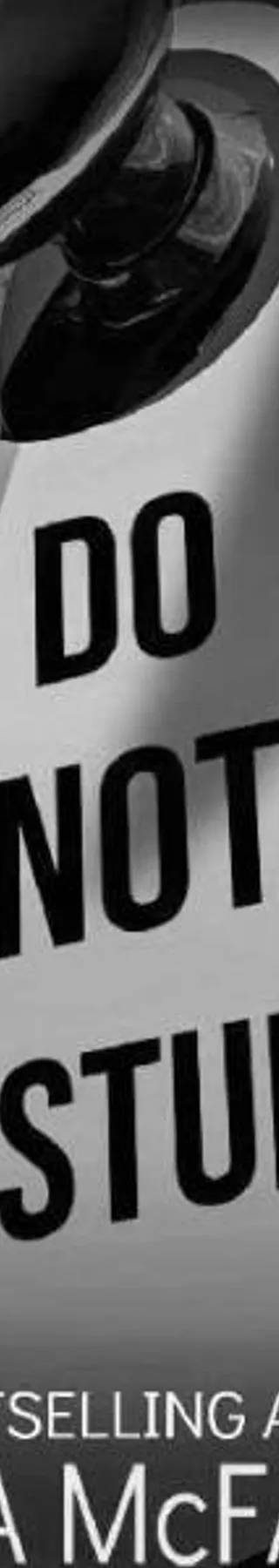 Couverture de « Do Not Disturb », Freida McFadden
