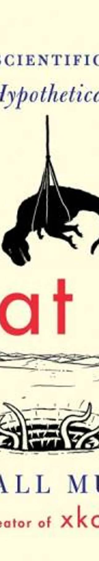 Couverture de What If?, Randall Munroe