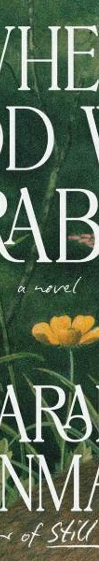 Couverture de When God Was a Rabbit, Sarah Winman