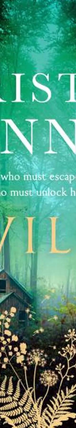 Cover of Wild (aka Magic Hour) by Kristin Hannah